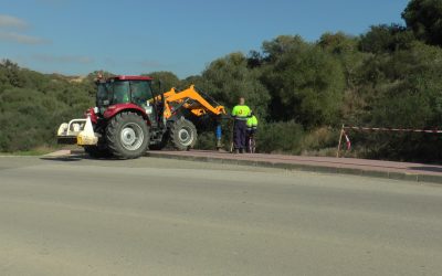 Diputación envía 200 árboles que se plantarán en el carril bici de la Estación y en la Avenida de La Pólvora