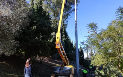 Mejora en la iluminación del Parque El Ejido de San Roque