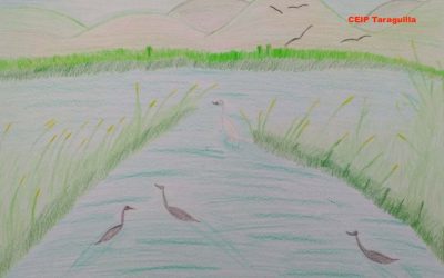 El CEIP Taraguilla gana el concurso de dibujo “Nuestros Humedales”, convocado por Medio Ambiente