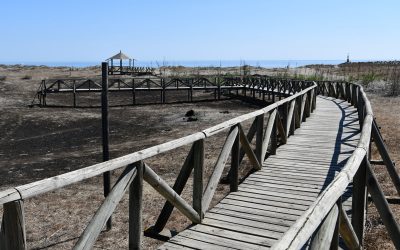 El alcalde reclama a la Junta la reparación de las pasarelas de la Laguna de Torreguadiaro