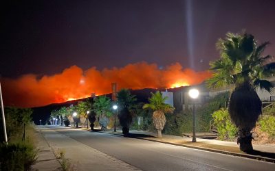 Detenido en Torreguadiaro el presunto autor del incendio forestal de anoche en el término de La Línea