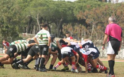 Buen trabajo del Sub 14 de San Roque Rugby Club en la última jornada de Liga autonómica
