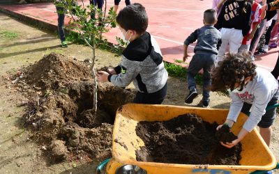 Plantación de árboles en varios colegios con motivo del Día Internacional de los Bosques