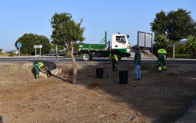 Se llevan a cabo en Miraflores la limpieza especial de los martes y distintos trabajos de jardinería