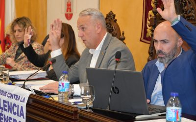 El alcalde destaca la unanimidad al nominar “Carmen Bru” el pabellón norte del Diego Salinas