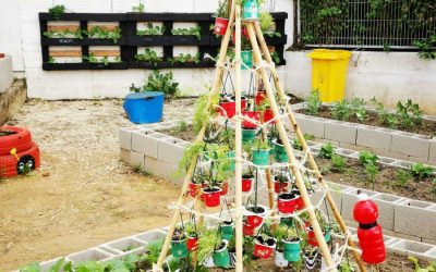 El colegio Santa María Coronada gana el concurso de Medio Ambiente “Un Árbol Diferente”