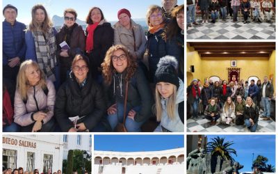 Turismo ofrece una visita guiada a 35 profesores de escuelas de idiomas de ocho países europeos