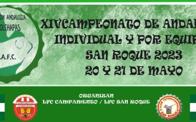 Campamento busca revalidar el título en el XIV Campeonato de Andalucía de futbolchapas
