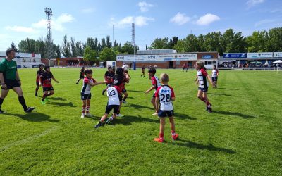 San Roque Rugby Club exhibe potencial en el Festival Nacional de base celebrado en Valladolid