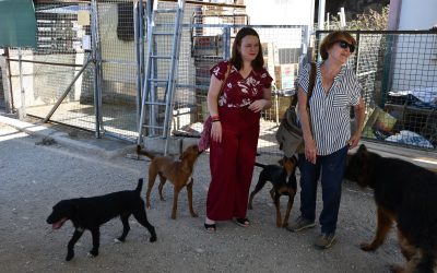 Rocío Fernández visita las dos protectoras de animales de San Roque