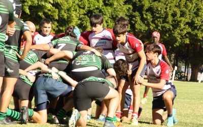 San Roque Rugby Club sigue creciendo con participación en concentraciones, Copa de Andalucía y Campeonato de España