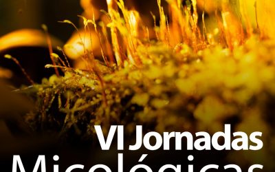 Este domingo, VI Jornadas Micológicas en el Pinar del Rey