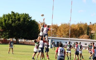 Los “leones” sanroqueños cierran de manera brillante la primera fase de la Liga andaluza de rugby M16