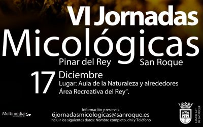 El 17 de diciembre, VI Jornadas Micológicas en el Pinar