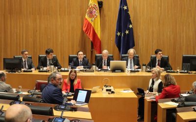 Ruiz Boix aplaude la propuesta valiente de acuerdo del ministro Albares y su solicitud de apoyo al resto de grupos políticos del Congreso