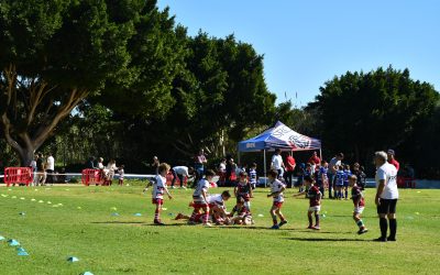Amplia participación en el Festival de Rugby Gradual