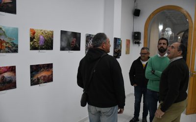 Inaugurada en el Espacio Joven una exposición fotográfica de naturaleza campogibraltareña
