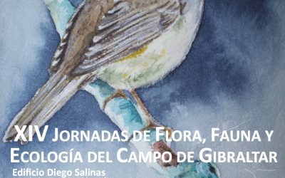San Roque acogerá las XIV Jornadas de flora, fauna y ecología del Campo de Gibraltar