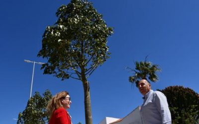 Plantación de árboles donados por Cepsa en La Torrecilla, en San Roque