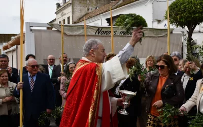Solemne Procesión de Palmas y Olivos en San Roque Ciudad