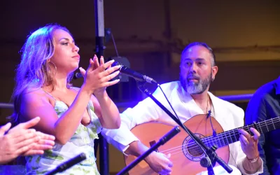 Deslumbrante Noche Flamenca en el Barrio Alto de la Estación