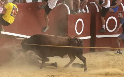 El Toro del Aguardiente 2025 sucede con mucha participación y diversión