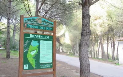 Este fin de semana ya pueden utilizarse las barbacoas en el Pinar del Rey