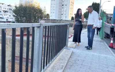 Obras y Servicios sustituye las barandillas de la Avenida Elvira Castilla del Pino