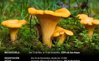 Este miércoles en la Alameda, degustación gastronómica dentro de las IX Jornadas Micológicas