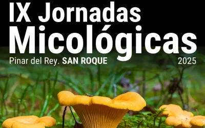 Este domingo en el Pinar del Rey, recolección de setas dentro de las IX Jornadas Micológicas