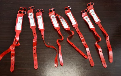 Fiestas reparte pulseras para facilitar el acceso a las atracciones de la Alameda a los menores con TEA