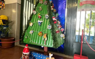 Los colegios Apolinar y Santa María Coronada ganan el concurso de Medio Ambiente “Un Árbol Diferente”