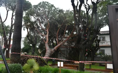 La borrasca Kristin ocasiona varias incidencias en San Roque