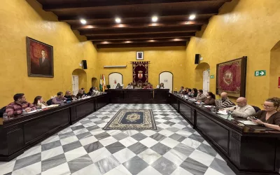 El Pleno Ordinario se aplaza hasta la próxima semana