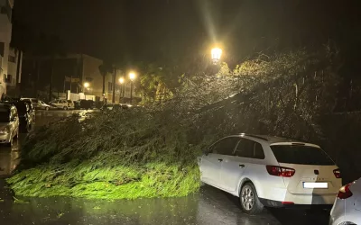 Varias incidencias, atendidas esta noche en el municipio