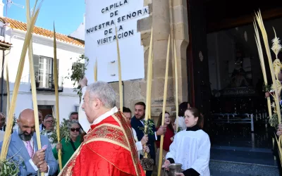 Brillante Procesión de Palmas y Olivos en San Roque