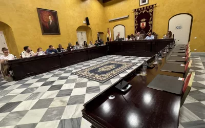 La Sesión Ordinaria del Ayuntamiento Pleno pide a la Junta la reparación del patio del CEIP Santa Rita
