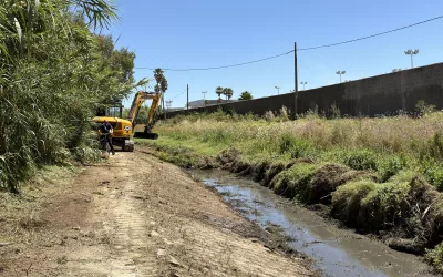 Limpieza del arroyo Cachón a su paso por Pozo del Rey