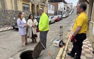 Salud anuncia un plan de choque para controlar la proliferación de cucarachas
