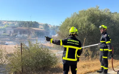 Estabilizado el incendio que ha afectado Pasada Honda y cercanías de la carretera con el Pinar