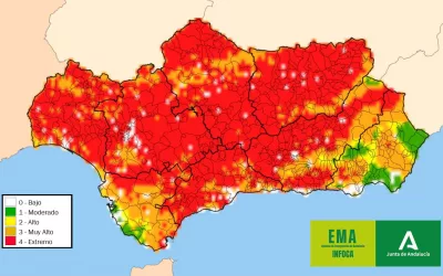 Se suspenden los fuegos artificiales de este domingo en San Enrique tras desaconsejar su realización la Junta de Andalucía