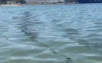 El Ayuntamiento exige información urgente a Moeve, APBA y Junta ante la aparición de restos de hidrocarburos en la Playa de Puente Mayorga