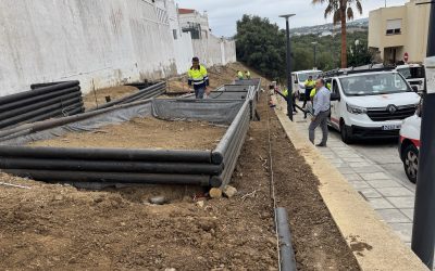 Desarrollan trabajos de jardinería en la Torrecilla