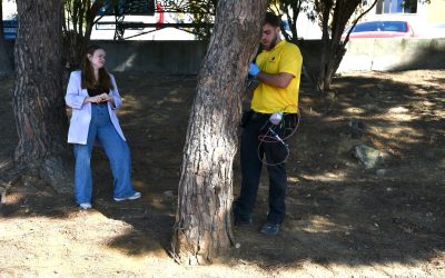 Tratamiento de endoterapia a los pinos para eliminar a las procesionarias